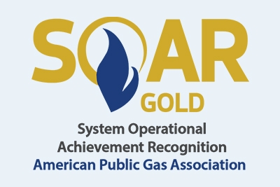 APGA System Operational Achievement Recognition